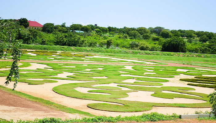 Dry Zone Botanic Gardens (Mirijjawila)