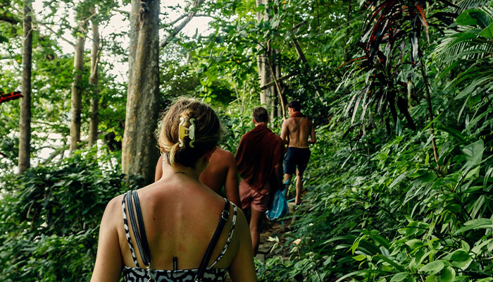 Makandawa Forest Reserve (Jungle Trail)